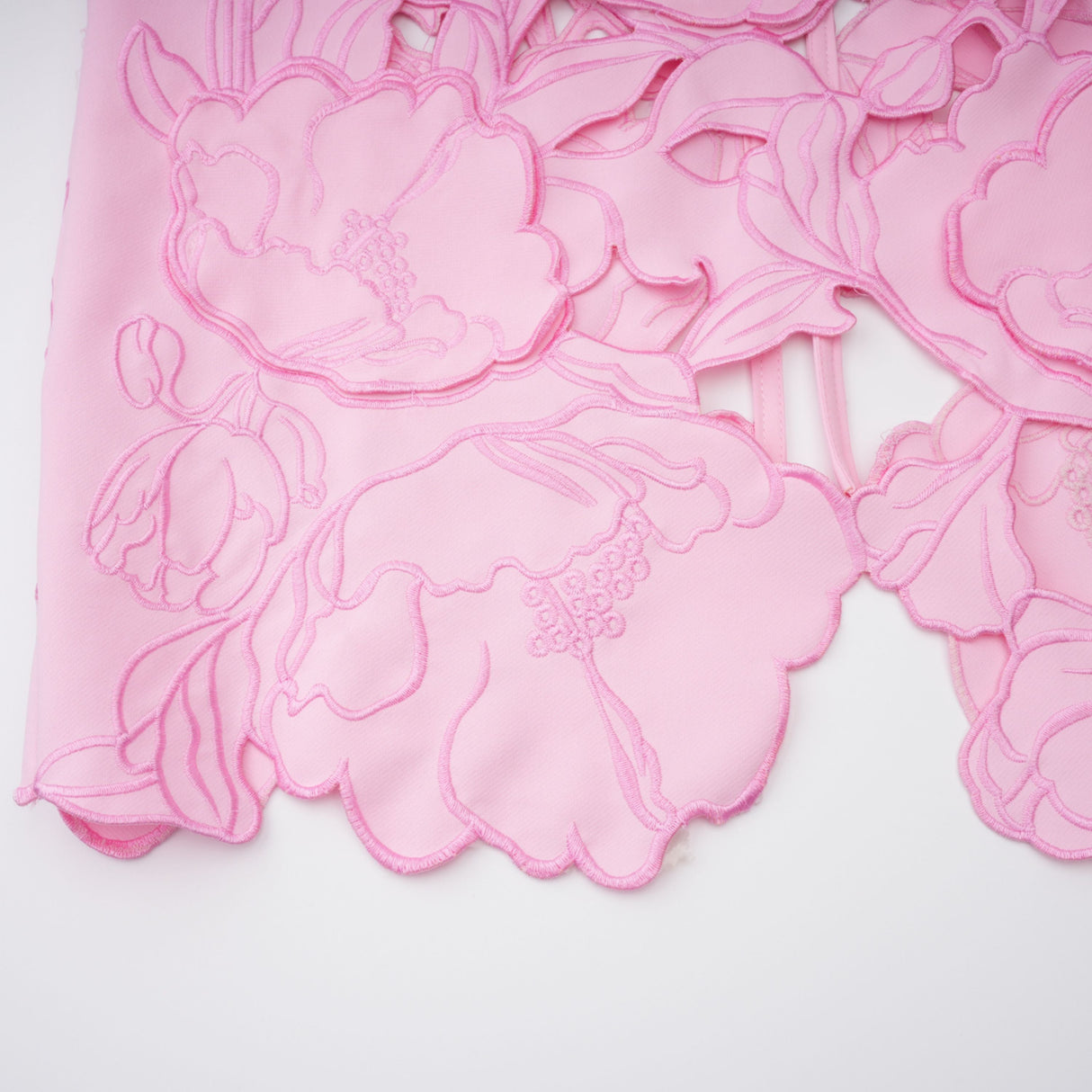 Talisman Pink Strapless Floral Embroidered Maxi Dress