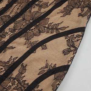 Philtre Lace Corset Mini Dress