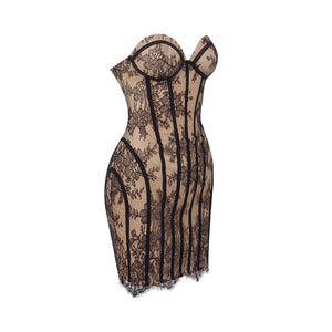 Philtre Lace Corset Mini Dress